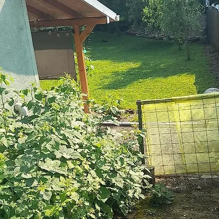Centrala Rednek